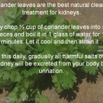 Remedy to cleanse Kidneys