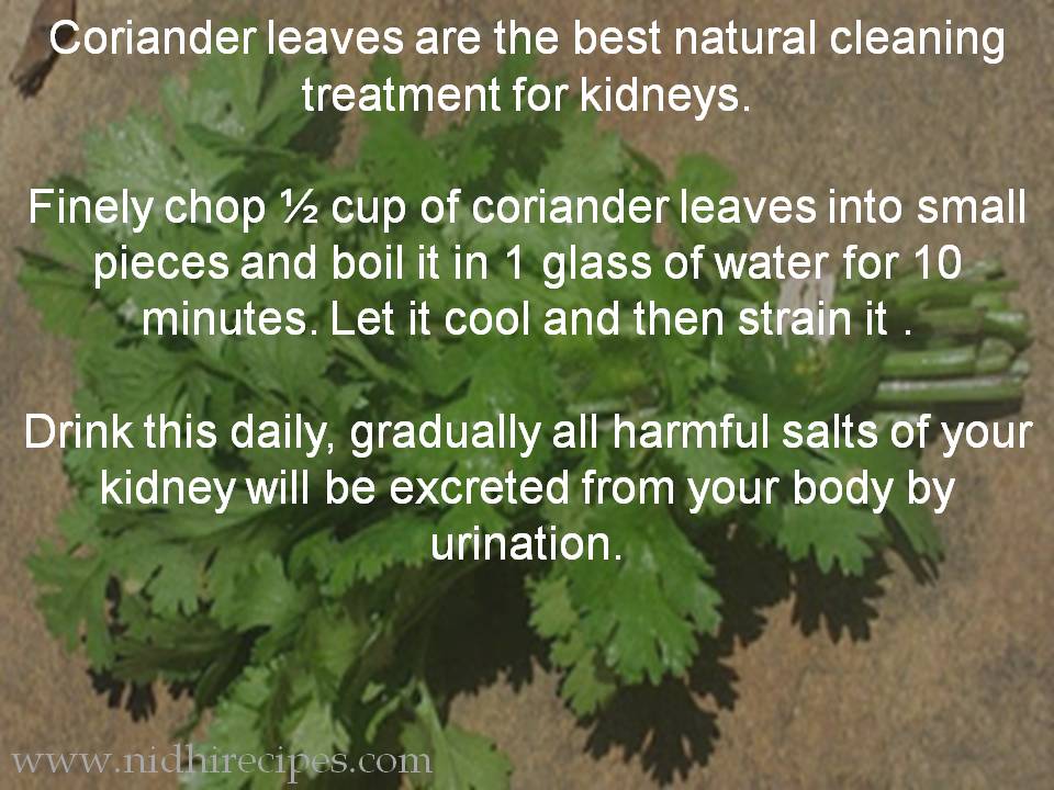 Remedy to cleanse Kidneys