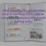 Tip to keep Fridge smelling fresh